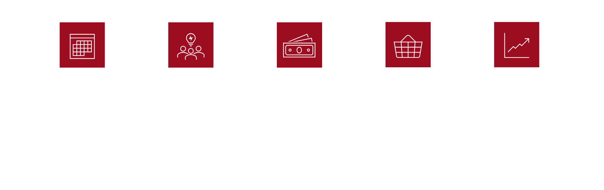 PromoSuite_Process_Picture_with_Icons_DE